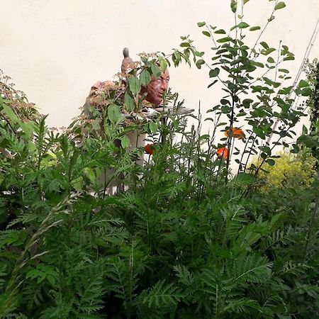 L'Atelier Du Chapeau Rouge Apartman Souvigny Kültér fotó